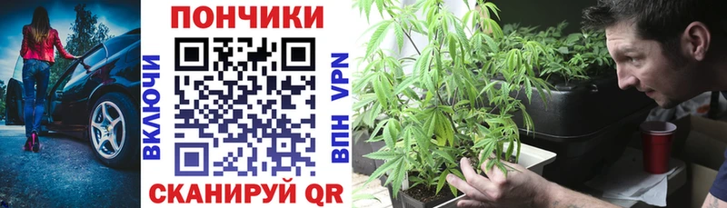 Каннабис SATIVA & INDICA Каменка